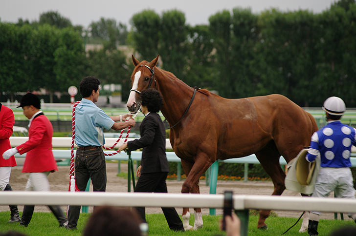 批量隐藏/显示商品1668651503974